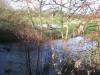 River Colne in flood