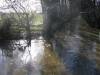 River Colne in flood