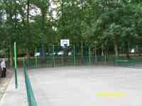 The Basket Ball Court