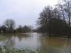 Flooded Common