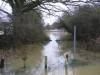 Flooded Common