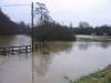 Flooded Common