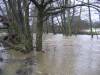 Flooded Common