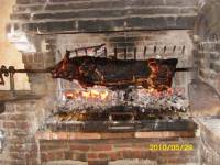 Pig being roasted