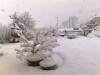 View of snow in garden