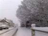 View down Roestock Lane